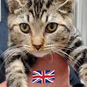 Meet your Posher, Pattie